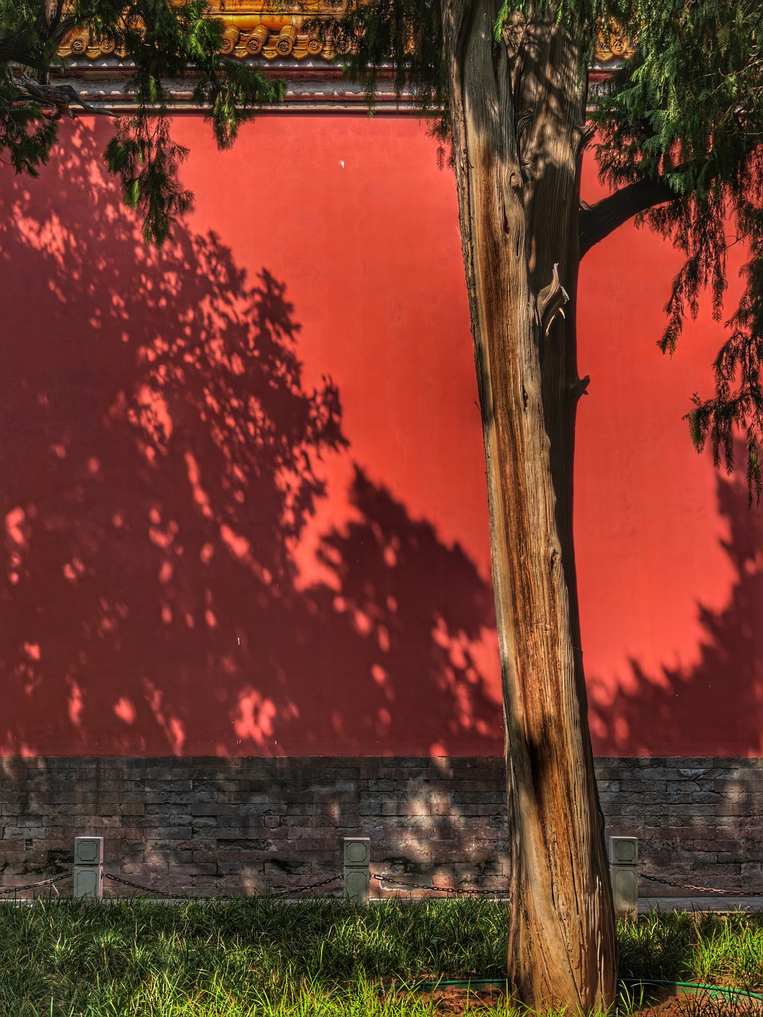 Photo 1.5, a user-provided photo