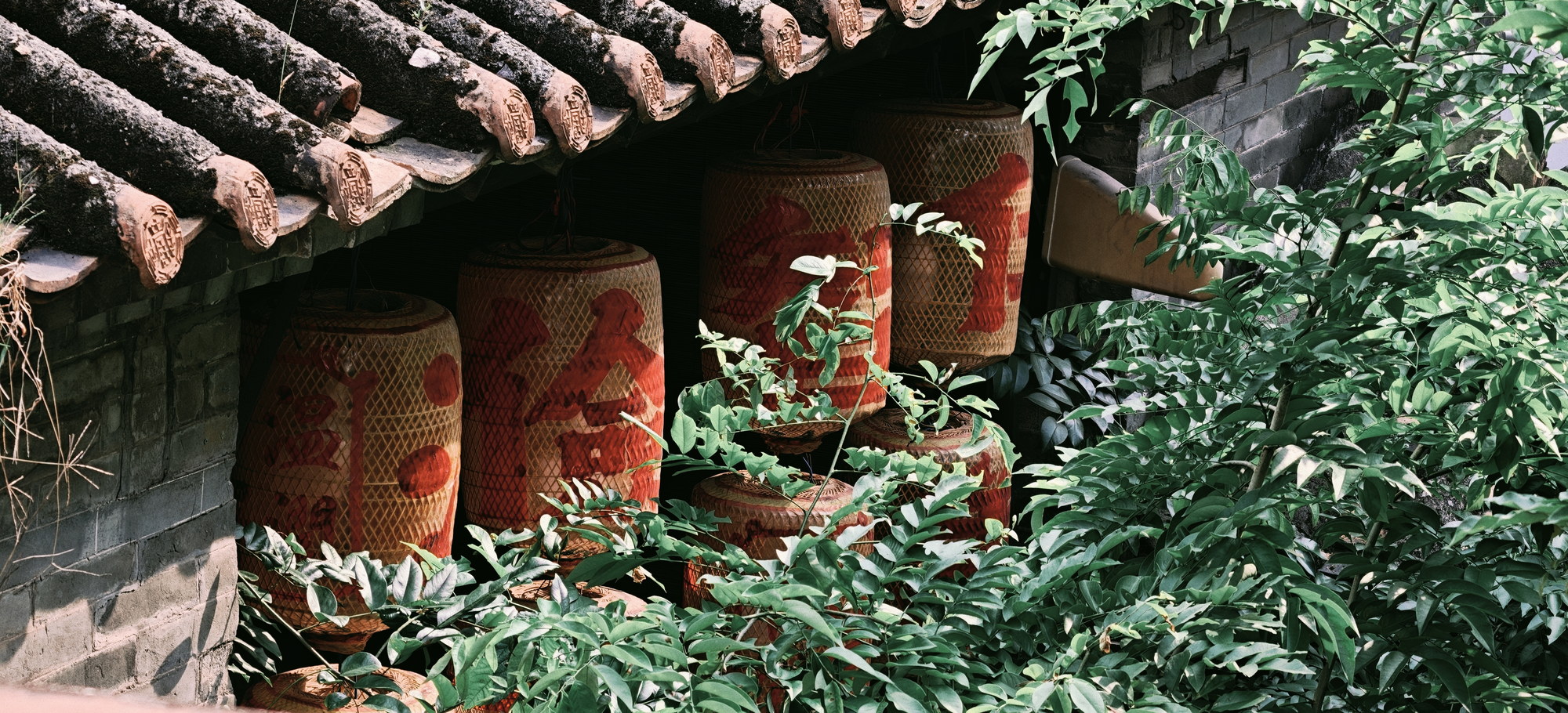 Photo 3.4, a user-provided photo